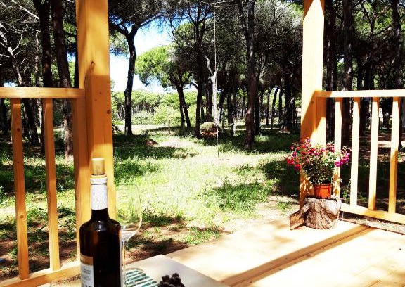 Los Gallos-Cerromolino House | The PineForest Cabin