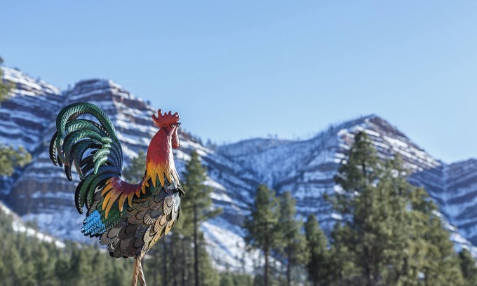 Hermosa Cabin | The Rustic Rooster Inn, Breathtaking Views, Between Downtown Durango & Purgatory