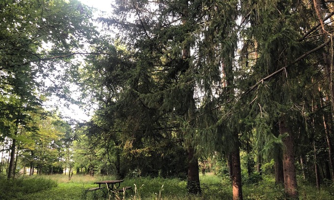 Delaware Cabin | The Rustic Side