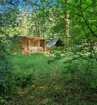 Redditch Other | The Shack in the Woods- Off Grid