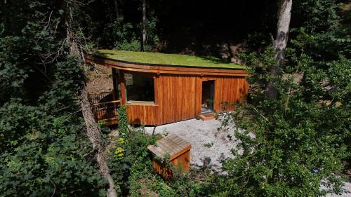 Nannerch Cabin | The Toads Hideout - A Cabin in an Ancient Welsh Woodland