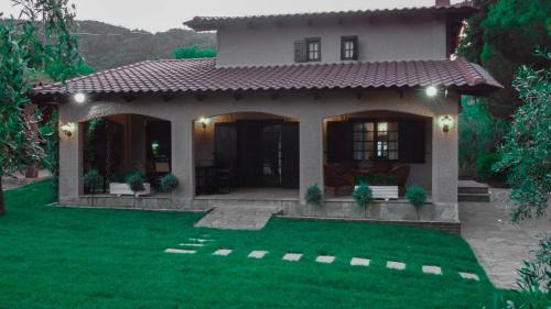 Pangaio House | The Tree House