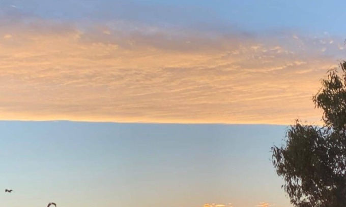 Warrnambool House | The Tree House Warrnambool