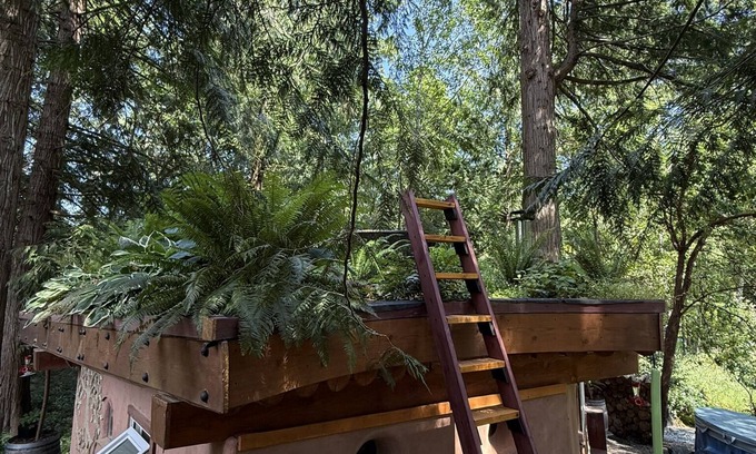 Shawnigan Lake Apartment | The Wobbly Hobbit- a unique cob studio in the forest.