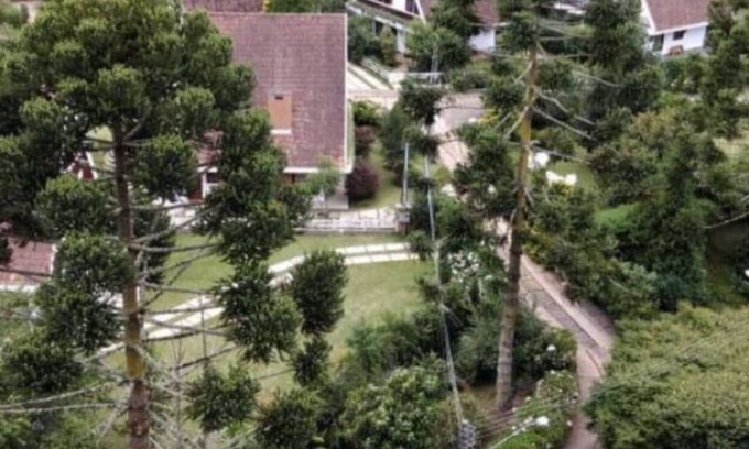 Campos do Jordao Ski Chalet | Theme Chalet