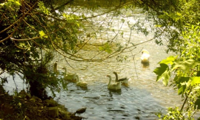 Tilff House | Tilff Esneux: country holiday home - Tilff