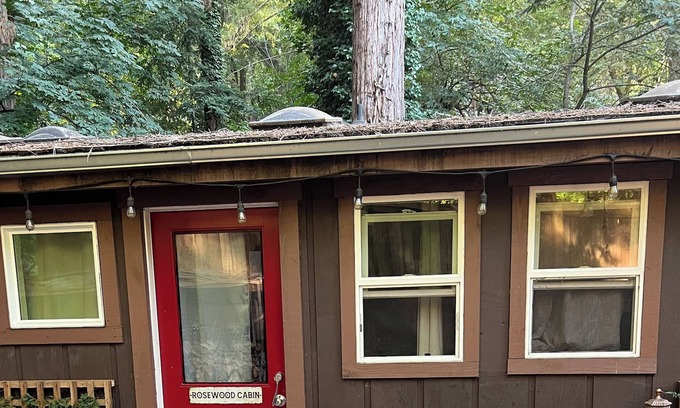 Soquel Cabin | Tiny Art House in the Santa Cruz Mountains