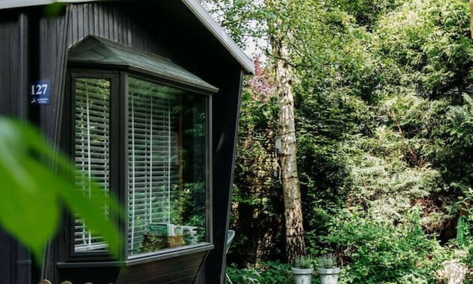 Krachtighuizen Cabin | Tiny Cabin Mae on the Veluwe