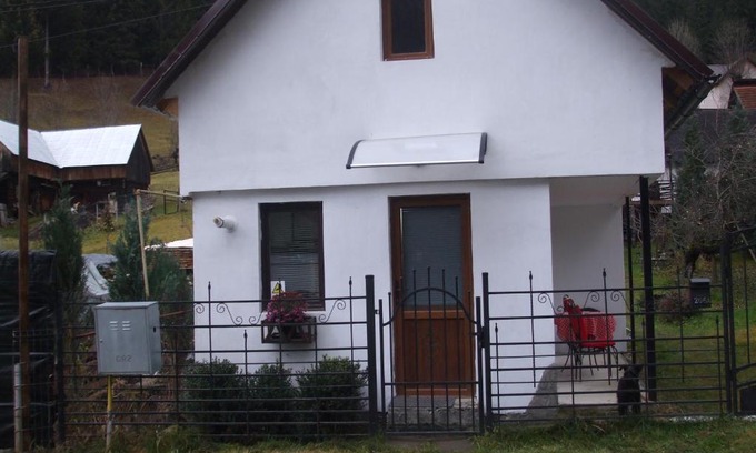 Moeciu de Sus House | Tiny house Floare de colt