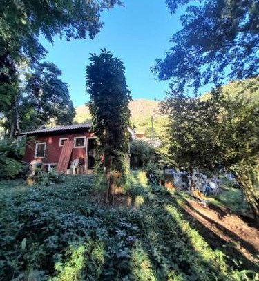 Floresta House | Tiny house florestinha