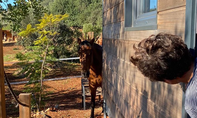 Sao Clemente Ski Chalet | Tiny House & Horses Hébergement Atypique à Loulé