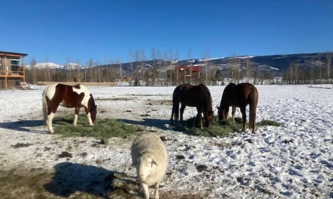 Driggs House | Tiny mountain house with country views