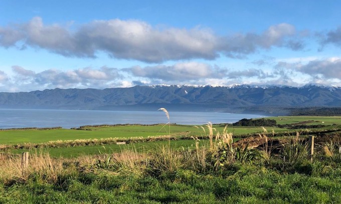 Papatotara Bed & Breakfast | ToiToi Papatotara BnB