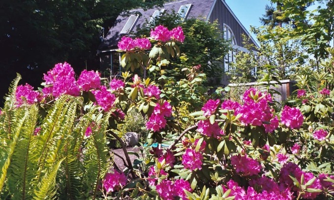 Rollingbay House | Tranquility and Peaceful Guest House Offers Guests A Quiet & Beautiful Getaway!