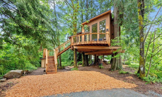 Bellingham House | Tree House- Two bedroom plus loft- sustainable living!