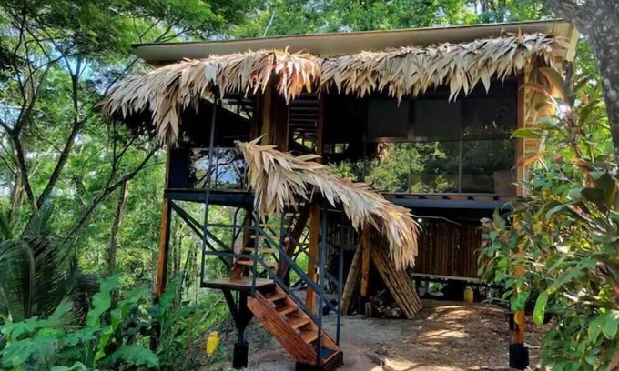 Cocles House | TreeTop Mansion, where the jungle meets the sea!