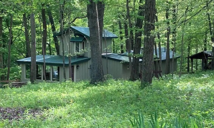 Highland  Vermillion County Cabin | Treetops Cabin in the Woods!