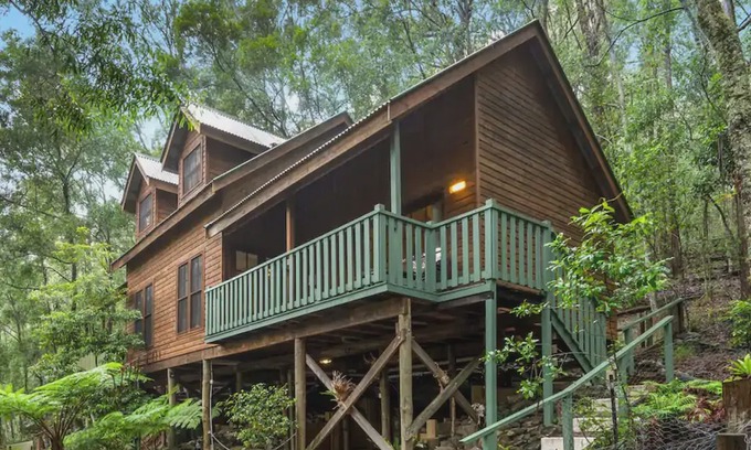Salisbury House | TREETOPS CABIN WITHIN BARRINGTON TOPS WILDERNESS
