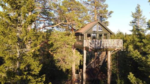 Engerdal Cabin | Tretopphytta Kraggbua