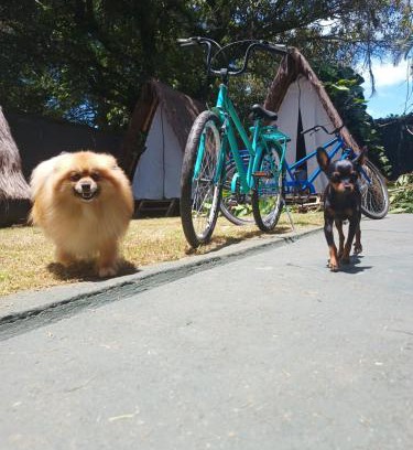 Barra da Lagoa House | Tropical Casa Ubatuba