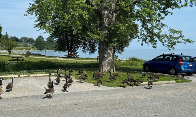 Clarington Other | True blend of city life into counteryside