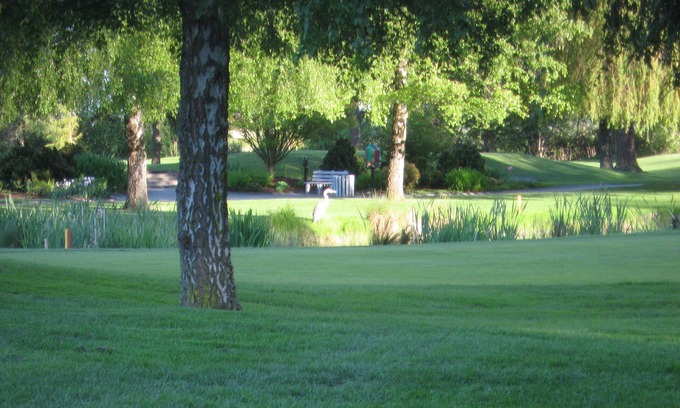 Delta Apartment | " TSAWWASSEN *5 STARS GOLF VIEW re-opens! « "