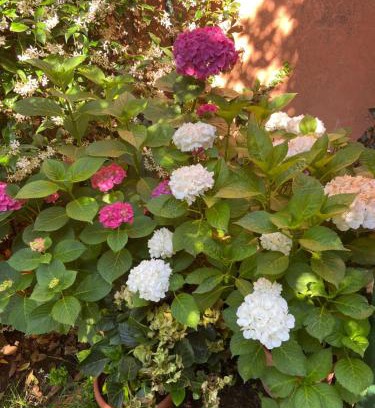 Marta Apartment | Tuscany Location