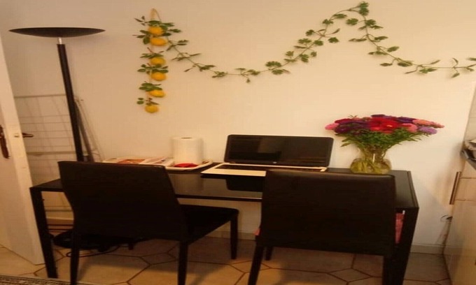 Les Lilas Apartment | two-room apartment with all amenities
