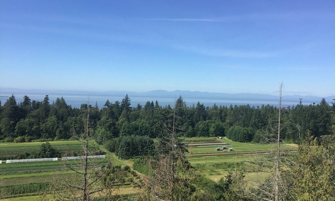 Vancouver Apartment | UBC Ocean View Brandnew Two Bed Room Condo