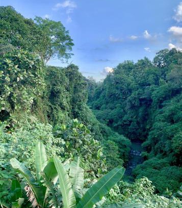 Sambahan Hotel | Ubud Jungle River