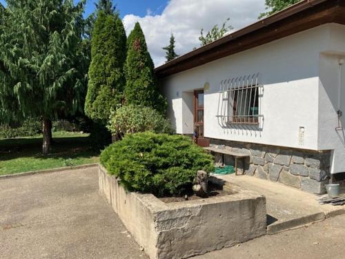 Hustopece House | Ubytování ve vinici