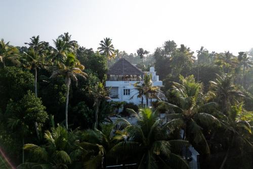 Varkala Hotel | Utopia Varkala - Boutique stay in Odayam rice fields