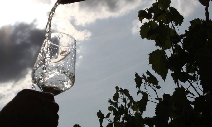 Mainz-Bingen Apartment | Vacation apartment Rheinhessen with 60sqm, 2 bedrooms, 1 living/bedroom, max. 6 persons