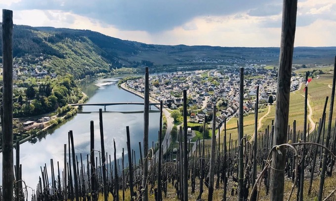 Maring-Noviand Apartment | Vacation apartment Kleine Auszeit in Maring-Noviand Ferienland Bernkastel-Kues