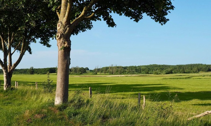 Thesenvitz Apartment | Vacation apartment Bunte Wiese