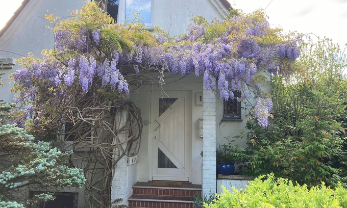 Hamburg-Altona Apartment | Vacation apartment near Volkspark, arenas/Trabrennbahn/DESY