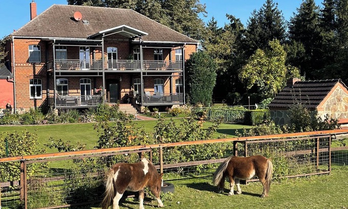 Barkhagen Other | Vacation apartment with a beautiful view of nature