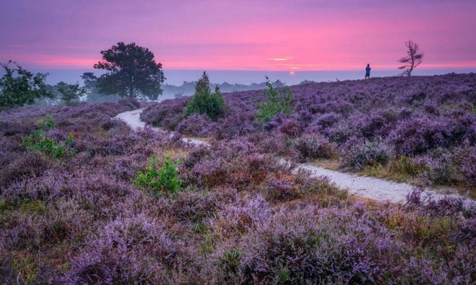 Municipality of Hellendoorn House | Vacation home Sallandse Heuvelrug, Hellendoorn, Zwolle in nature with Luxe Hottub
