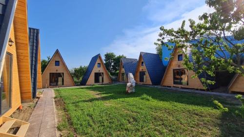 Vadu House | Vadu Cazare