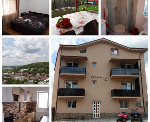 Slatina Apartment | Varipatti House