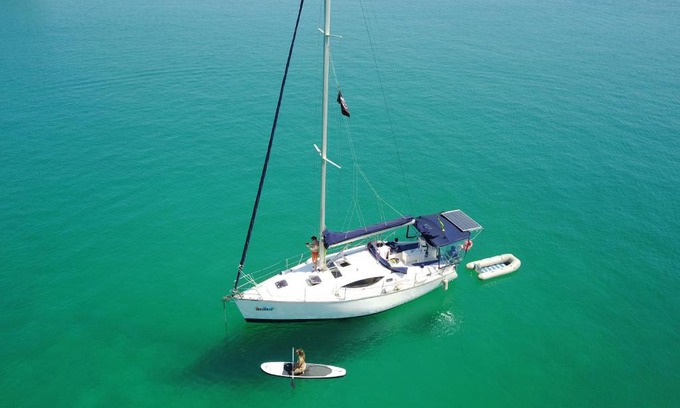 Parque das Palmeiras Boat Rental | Veleiro Charter Instagram