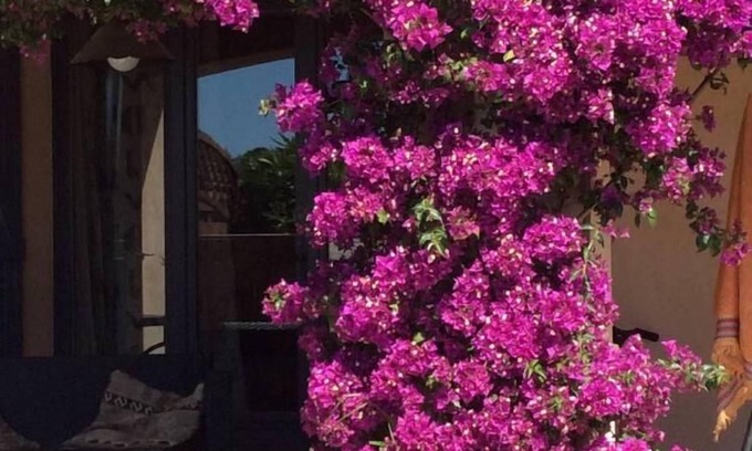 Ollioules House | VERY NICE SITE IN THE VAR- PLEASANT HOUSE-