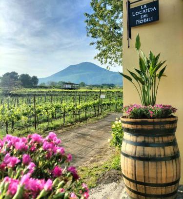 Boscotrecase House | Vesuvio Inn Guest House e Wine Experience