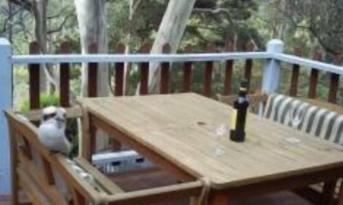 Blackwood House | View Cottage - a very cosy cottage