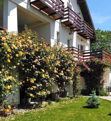 Breaza de Jos Bed & Breakfast | Vila Carpatina