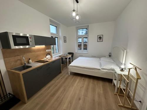 Ceske Budejovice Apartment | Vila Fráňa apartmán 2