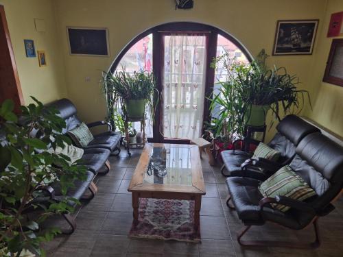 Zajecar House | Vila Vienna