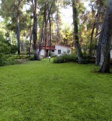 Sane Villa | Villa Anty