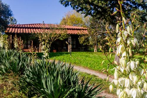 Bivio di Ravi House | Villa Bel Giardino