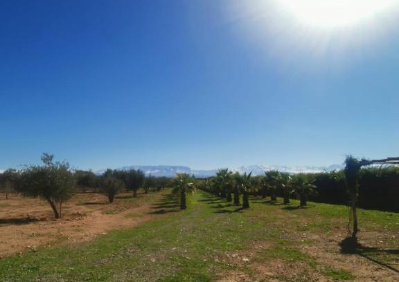 Sidi Abdallah Ghiat House | Villa charme du désert
